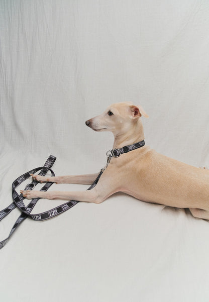 Black collar with logo NUFFI BIG S