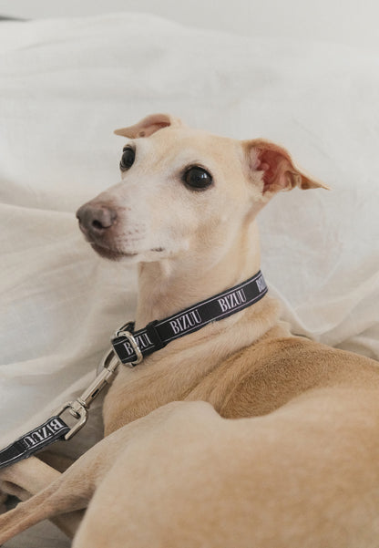 Black collar with logo NUFFI BIG S