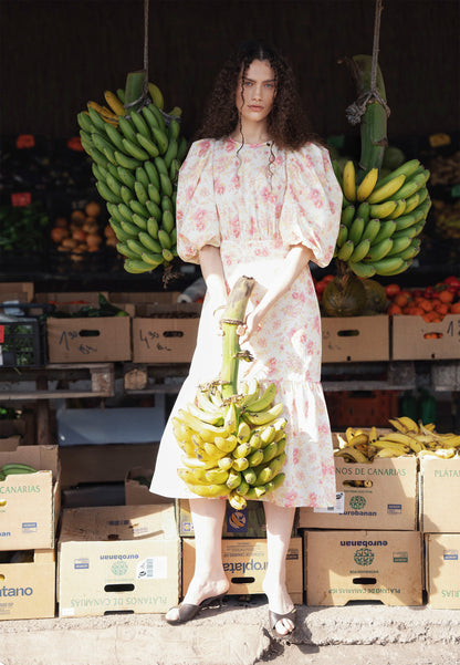 Cream MOSELLE midi dress in a floral print